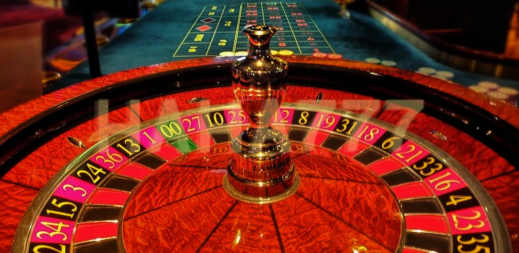 Top Reasons Why Live Casino Is Evolving - Haha777